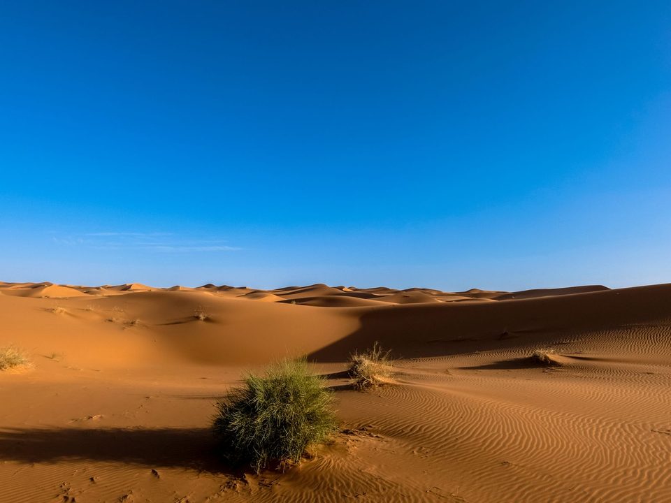 Sunlit sand dunes under a clear heat-bearing sky.